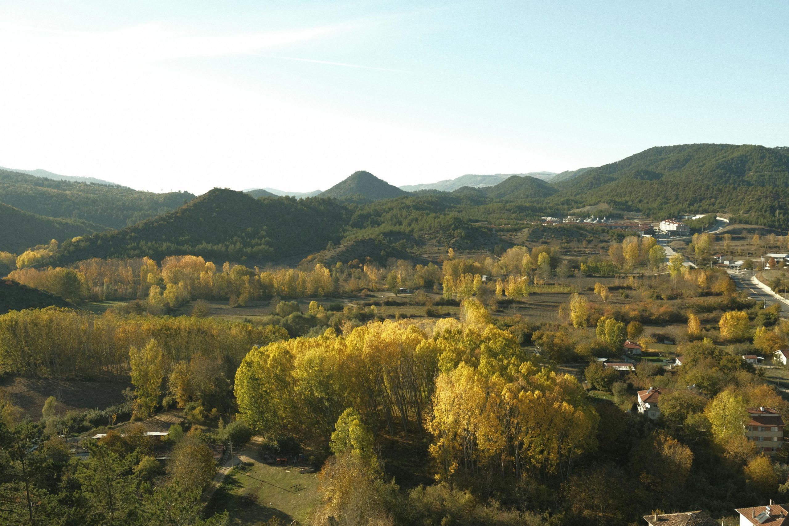 În același timp, unele sezoane dispar complet, cu consecințe profunde pentru ecosisteme și culturi. sursa foto pexels.com
