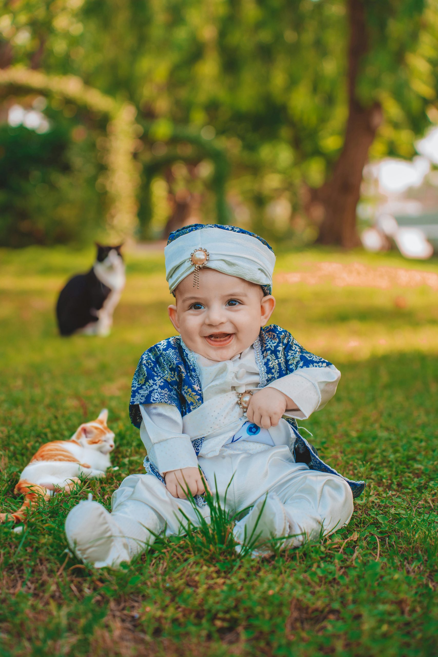 Pisicile învață mult mai devreme decât un bebeluș. sursa foto pexels.com