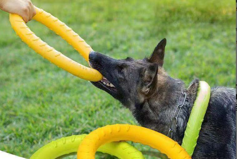 Produse de mestecat sigure pentru câini