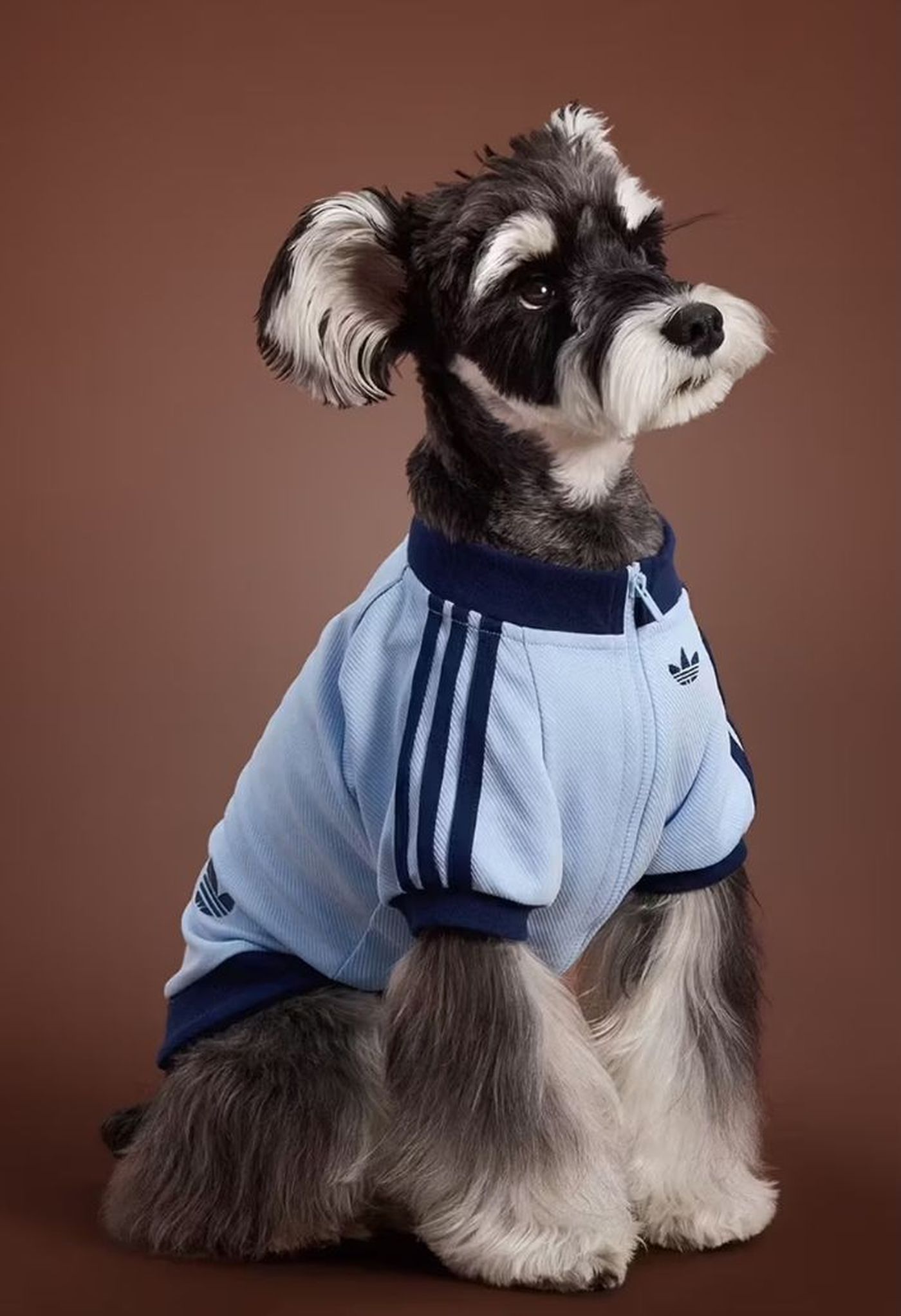 Tricourile vin pe diferite mărimi și culori. sursa foto Adidas