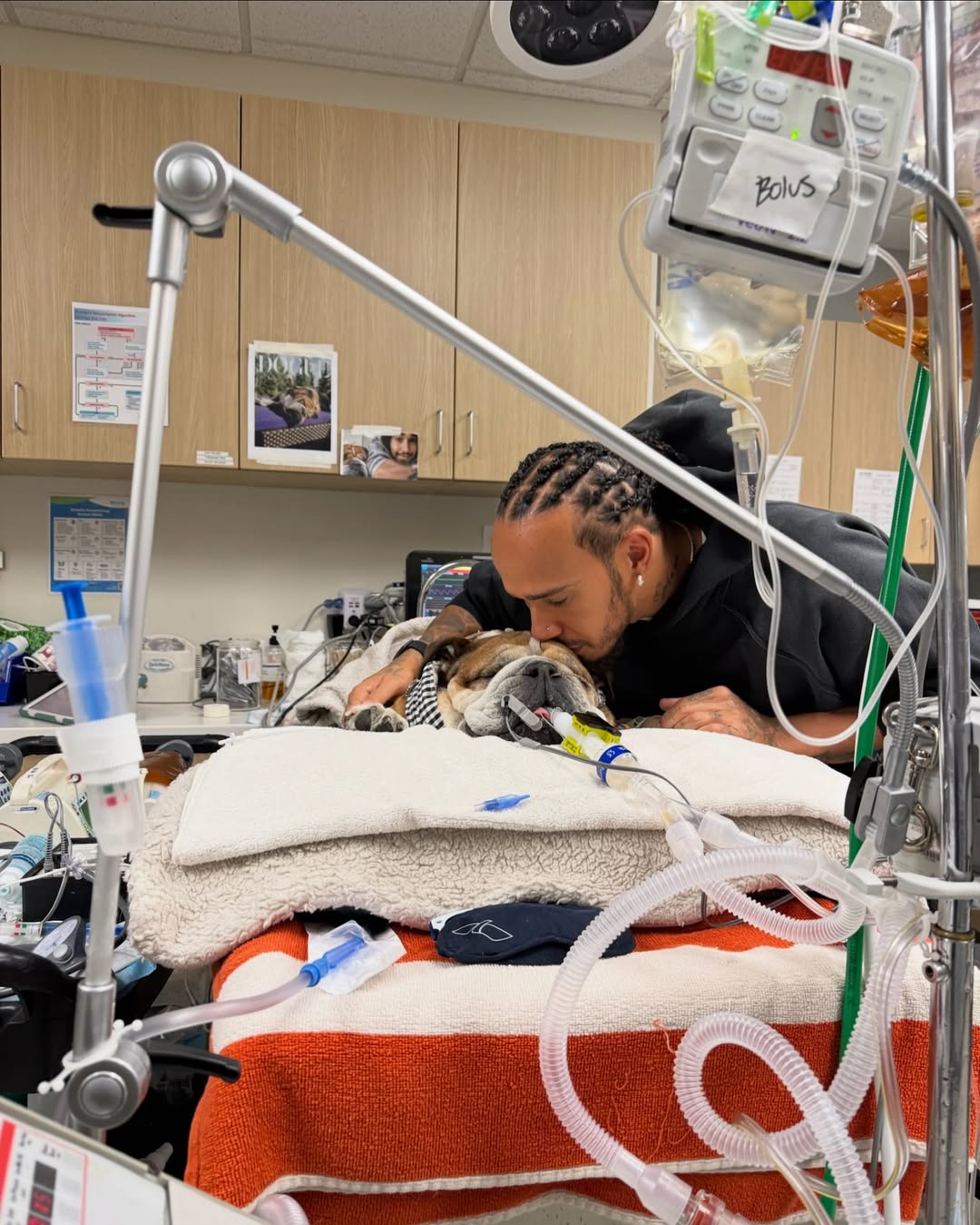 Câinele lui Hamilton a murit pe 28 septembrie, după ce în ultimii 5 ani a avut o dietă vegană. sursa foto Instagram