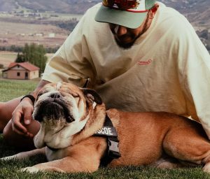 Ce gustare vegană îi dădea Lewis Hamilton lui Roscoe, regretatul său câine. Fanii au fost uluiți total de imaginile VIDEO