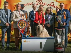 Cei mai frumoși câini au urcat pe podiumul „Vrancea Dog Show” 2025! 200 de câini de rasă au făcut show