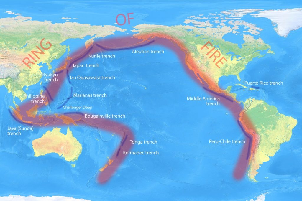 Creaturi marine care se adaptează rapid, descoperite în Japonia. sursa foto Profimedia