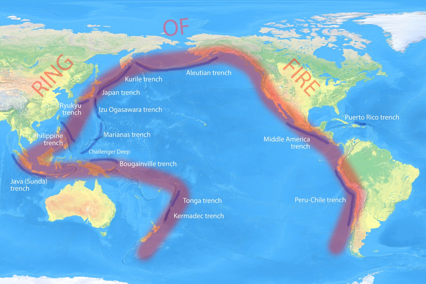 Creaturi marine care se adaptează rapid, descoperite în Japonia. sursa foto Profimedia