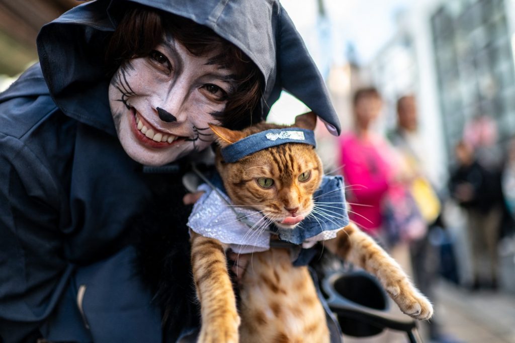 Festivalul Kagurazaka Bakeneko, iconicul festival japonez de Halloween dedicat pisicilor. sursa foto Profimedia