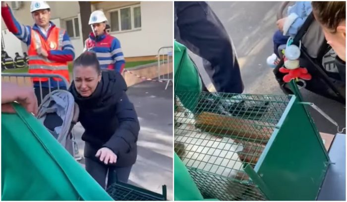 O pisică din blocul exploziei din Rahova a fost reunită cu stăpâna ei. Imagini VIDEO emoționante