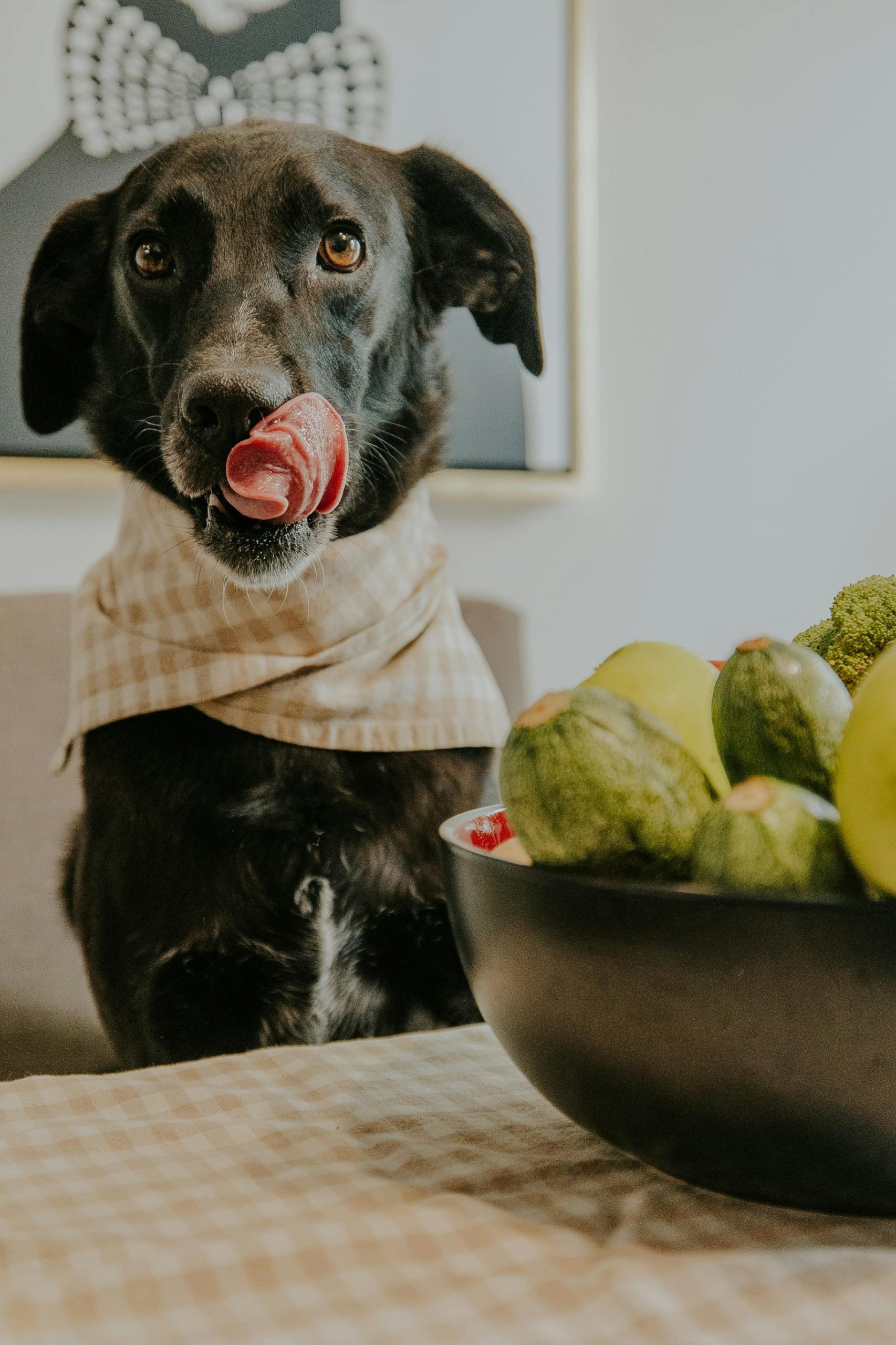 Merișoarele conțin antioxidanți, vitamina C, fibre și potasiu. sursa foto pexels.com