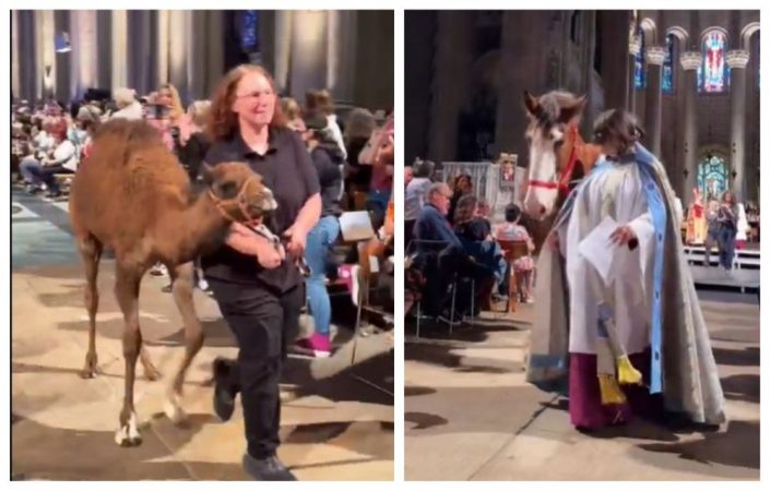 Sute de animale au primit binecuvântarea într-o biserică din Manhattan / VIDEO