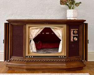 Casa și Grădina: Un american reciclează televizoare vechi și le transformă în case pentru pisici
