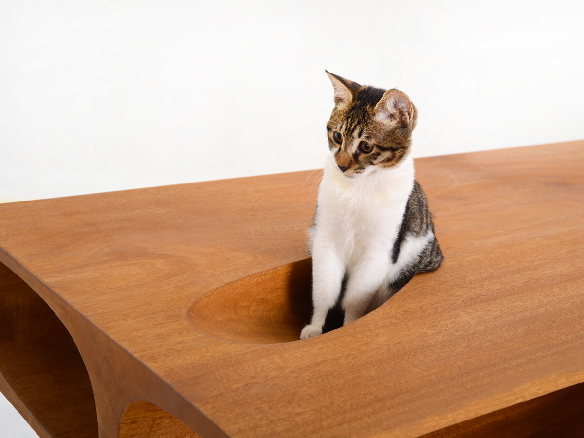 Casa Lux: Catable 1.0 redefinește munca la birou pentru stăpânii pisicilor