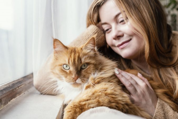 Terapia cu pisici: o alternativă surprinzătoare la câinii de terapie