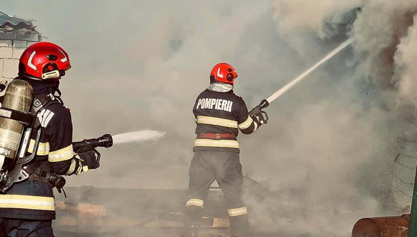 15 câini au fost salvați de pompieri după o intervenție de urgență. sursa foto ISU Prahova