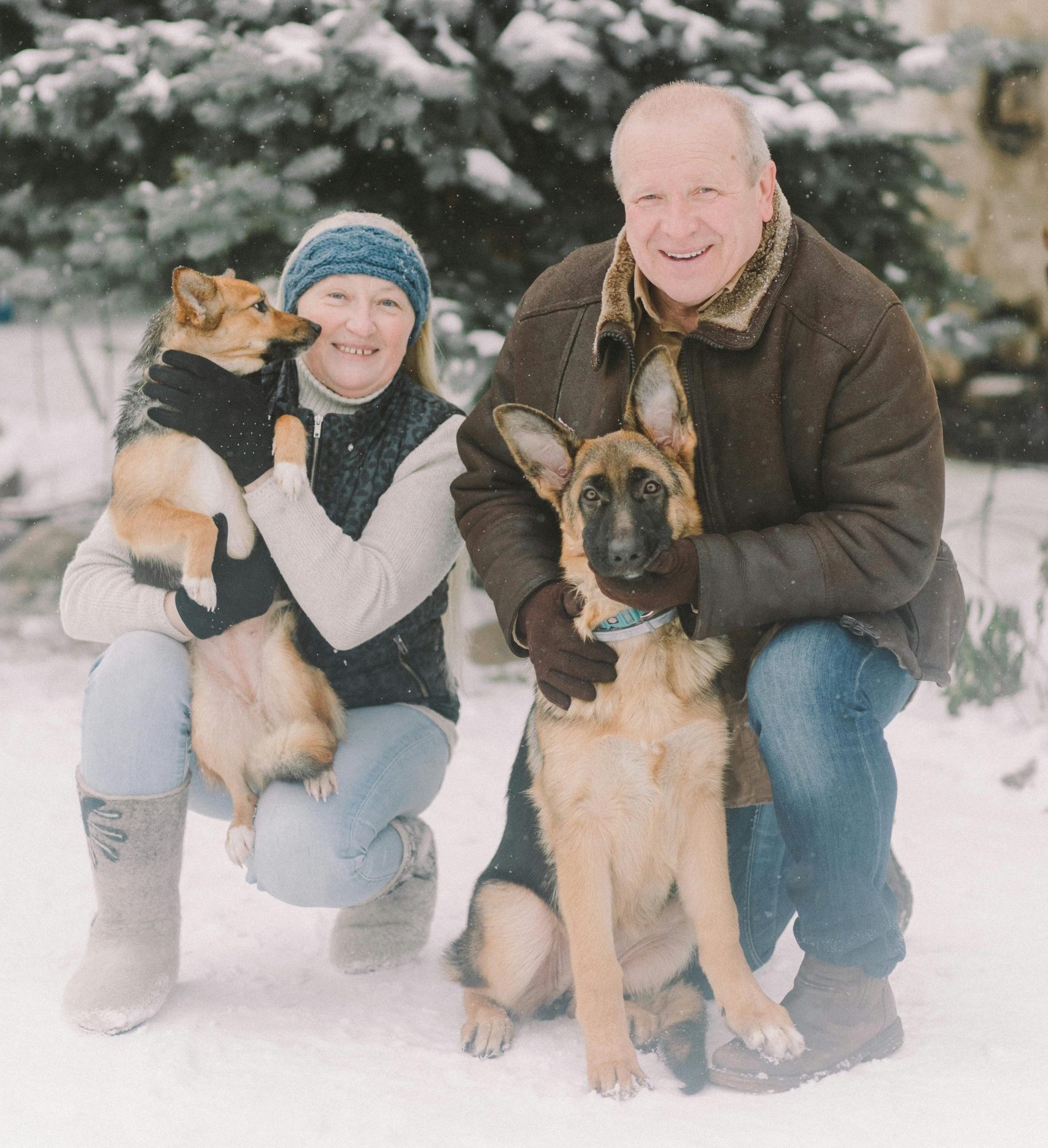 Echipa intenționează să folosească date furnizate de proprietarii câinilor, pentru a corela schimbările metabolice cu masa musculară. sursa foto pexels.com