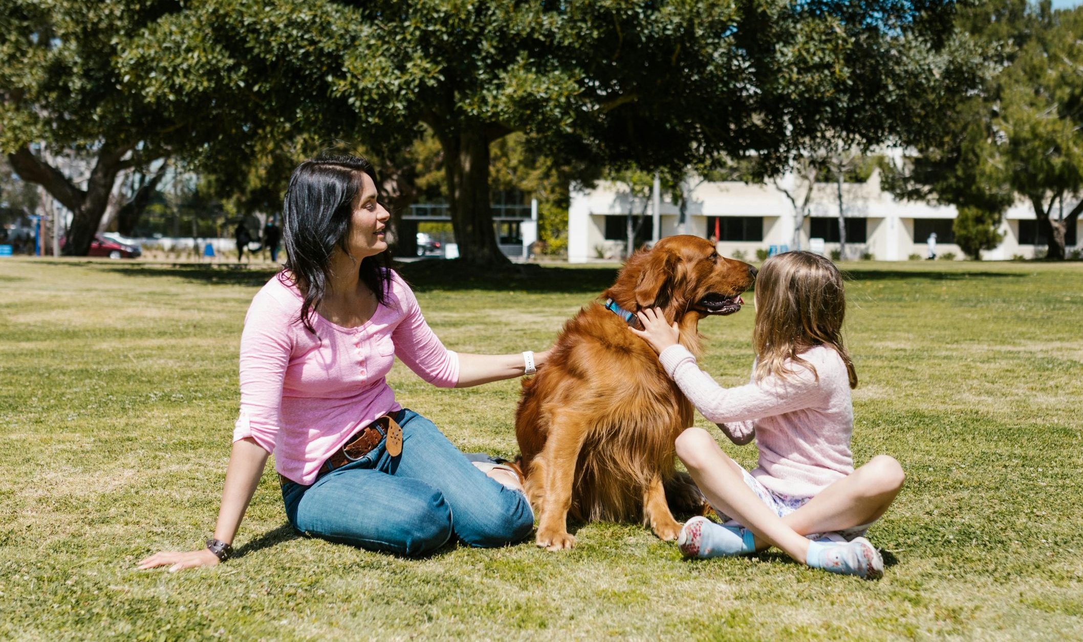 Boli pe care le poți lua de la animalele de companie: simptome, riscuri și prevenție
