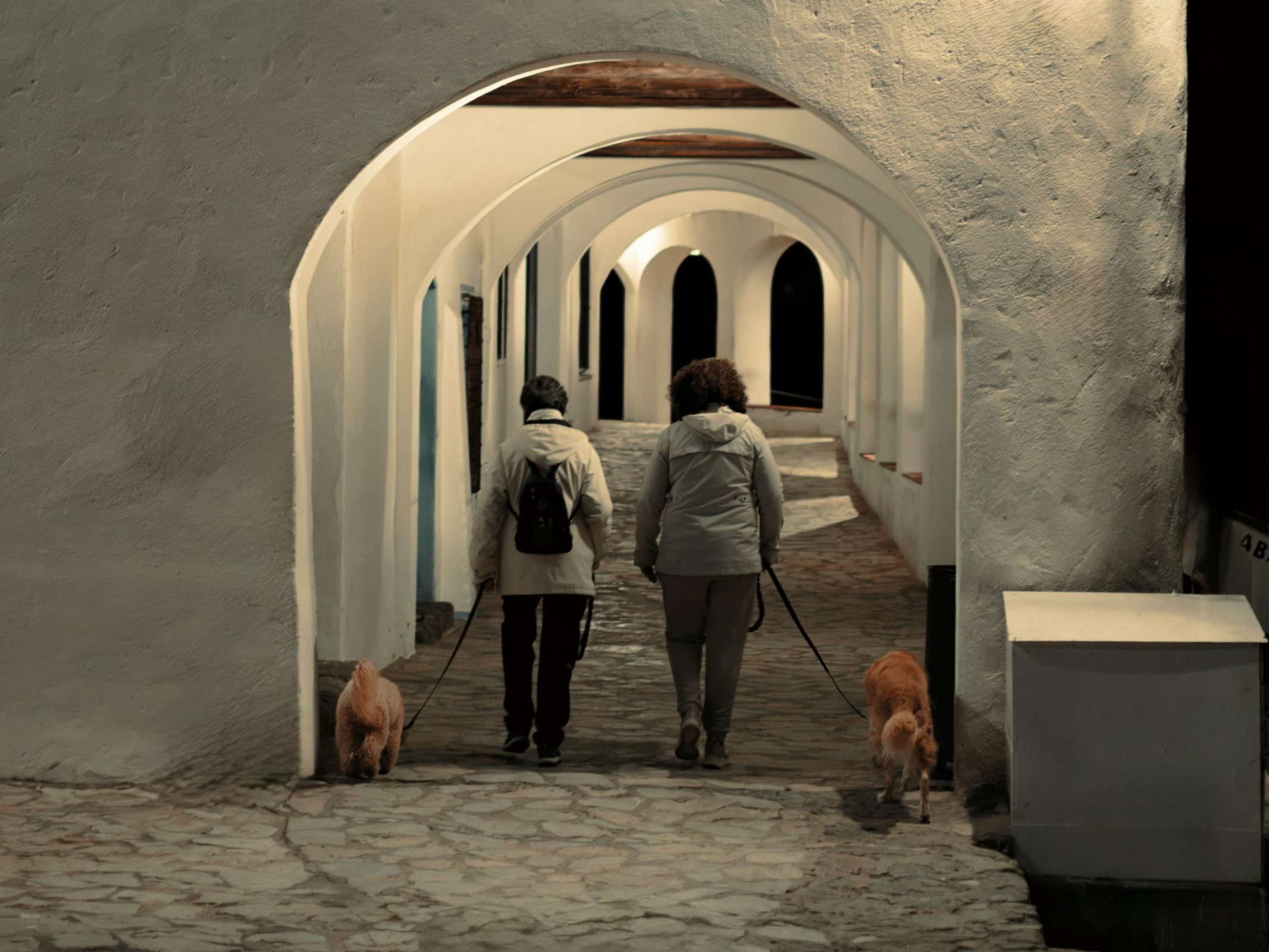 Spania are peste 6.000 de clinici veterinare, multe deschise non-stop. sursa foto pexels.com