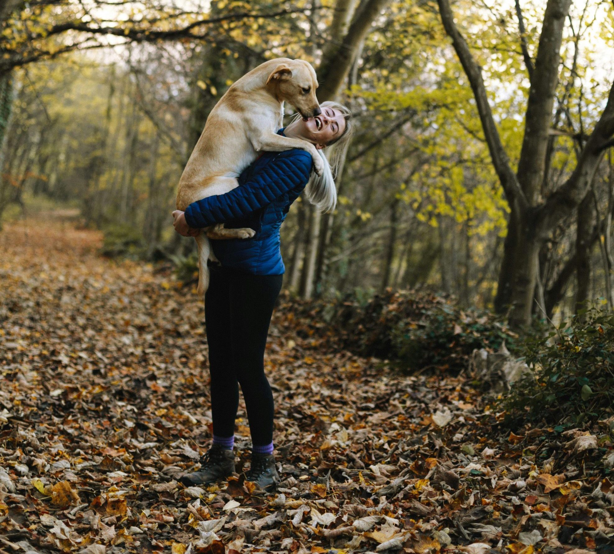 Uneori, durerea pierderii unui animal poate fi chiar mai mare decât cea a unui om. sursa foto pexels