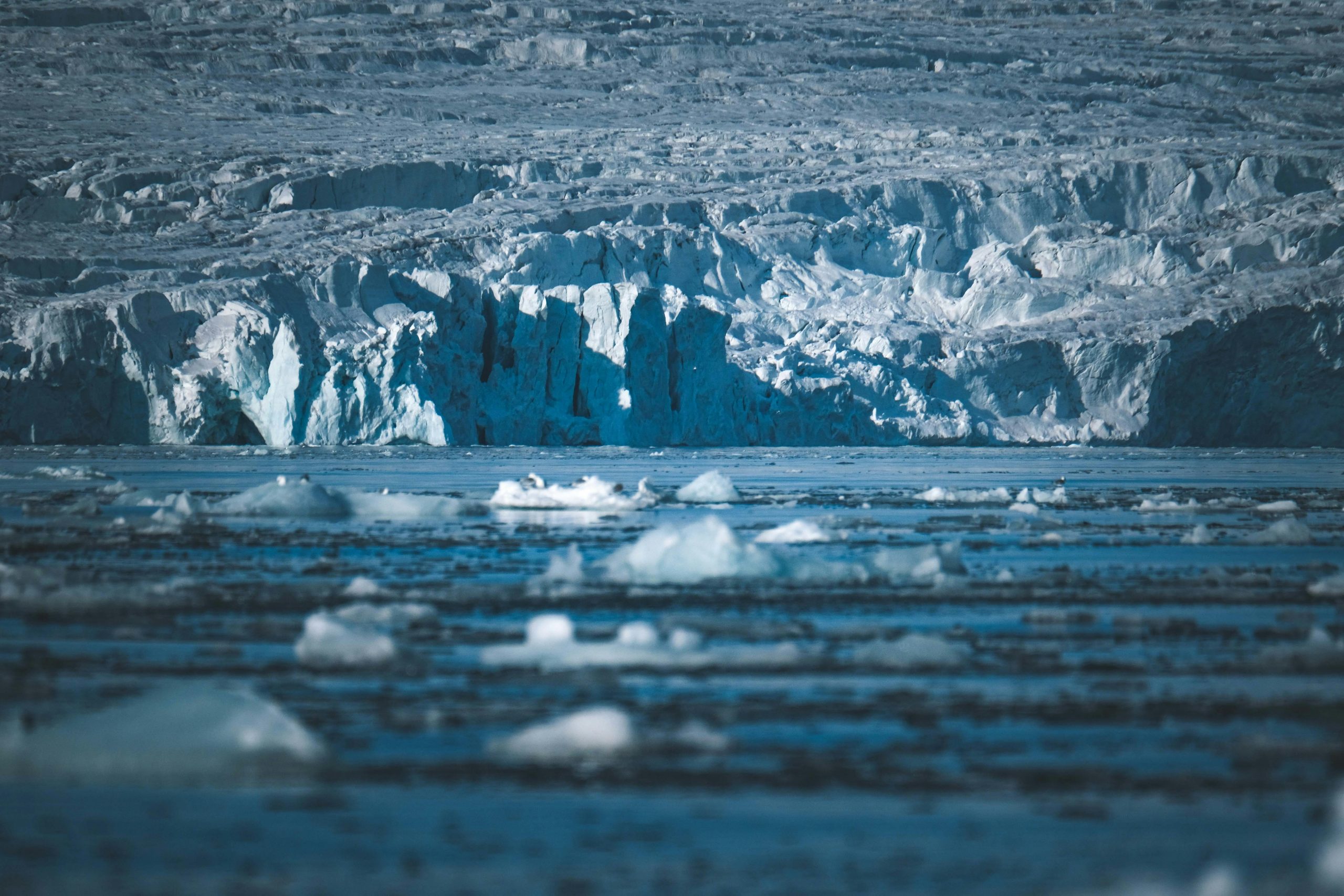 Viitorul Antarcticii depinde de politicile climatice adoptate în prezent. sursa foto pexels