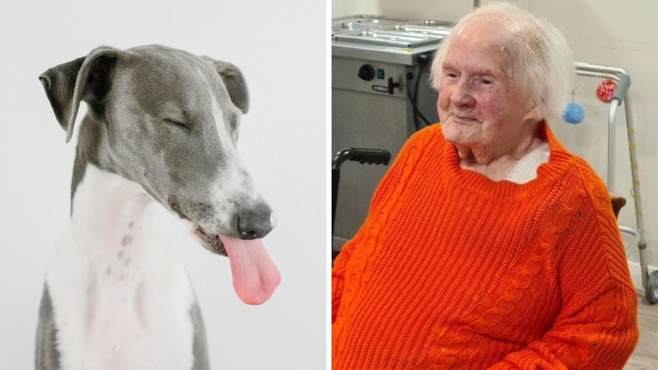 O femeie și-a dezvăluit secretul longevității. sursa foto Facebook