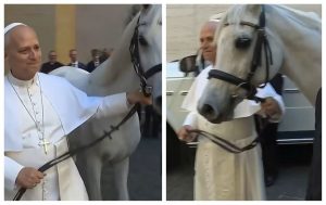 Papa Leon a primit cadou un cal pursânge arab. Suveranul Pontif e un călăreţ amator