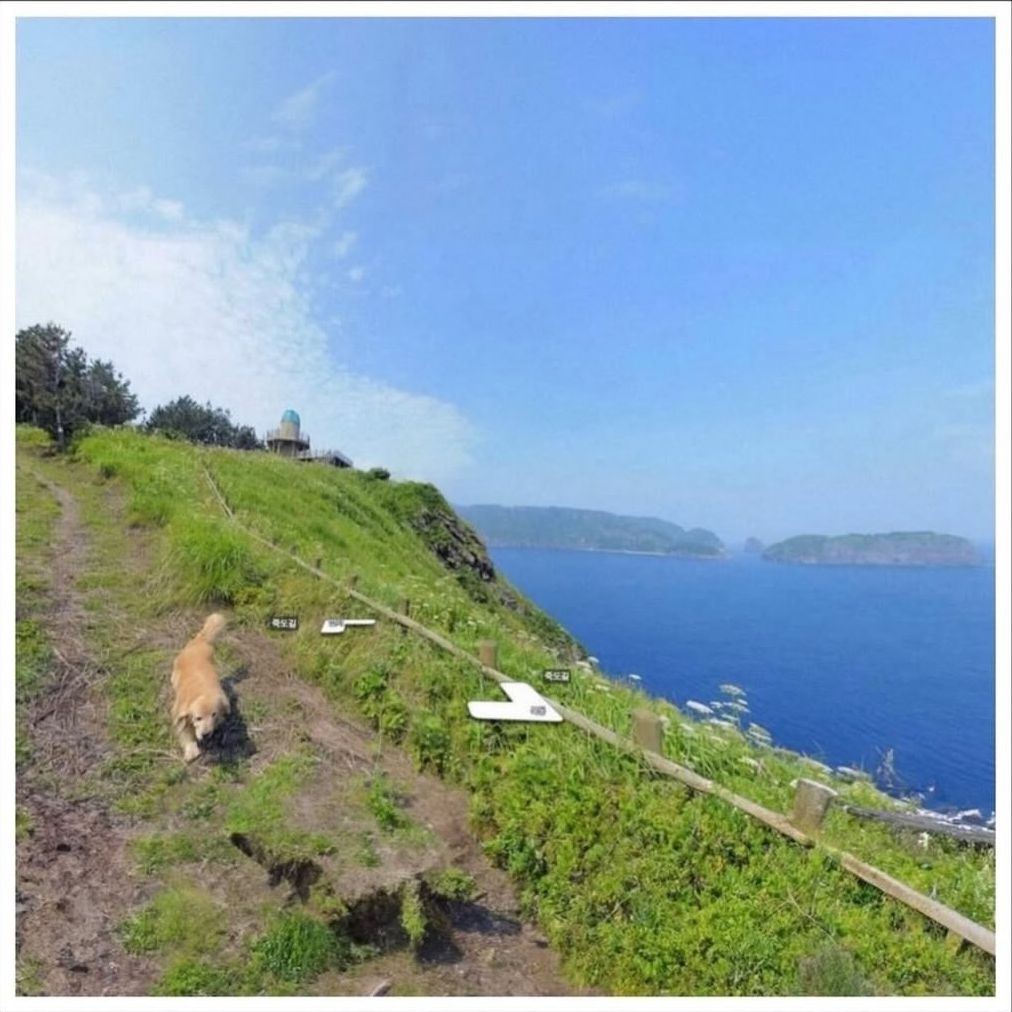 Insula Jukdo, aflată lângă Ulleungdo, în Marea Japoniei, este un loc mic și pitoresc. sursa foto Google Maps
