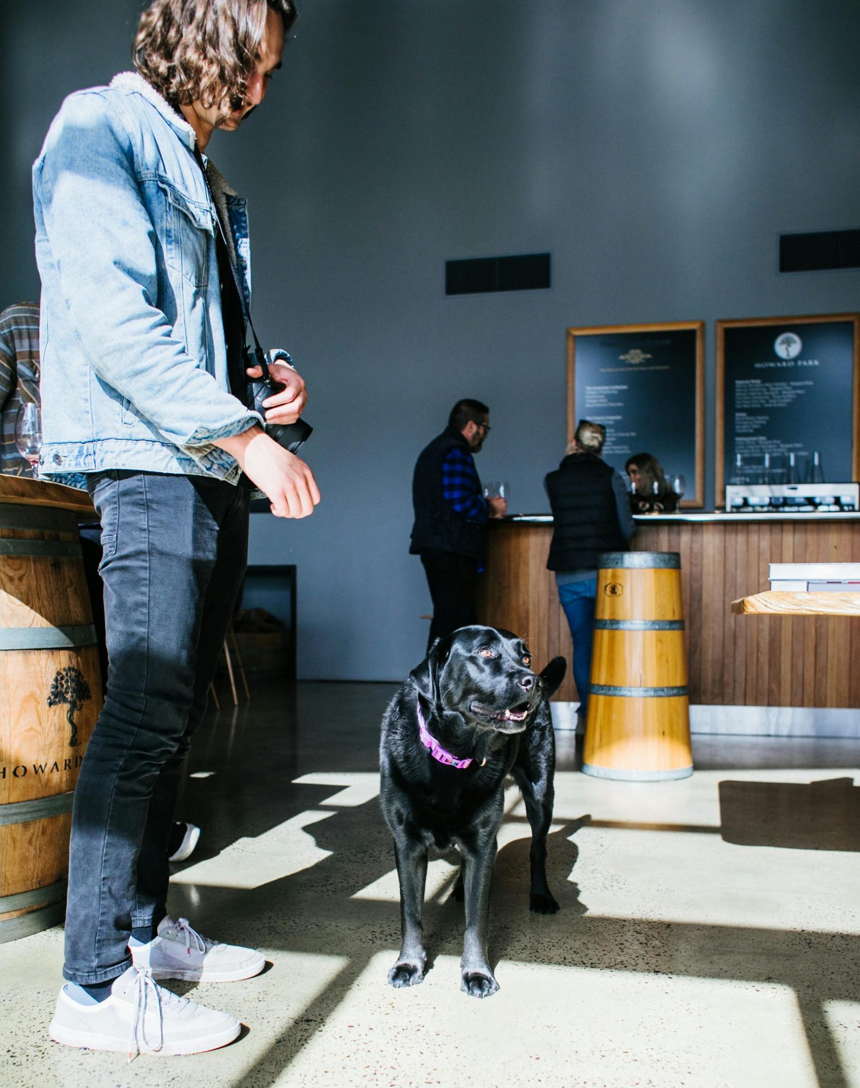 O simplă ieșire s-a transformat într-o adevărată lecție despre conviețuire în acest oraș din România. sursa foto pexels.com