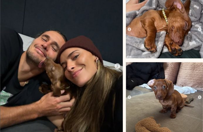 Alexander Zverev și Sophia Thomalla au un nou membru în familie: un cățel teckel adorabil