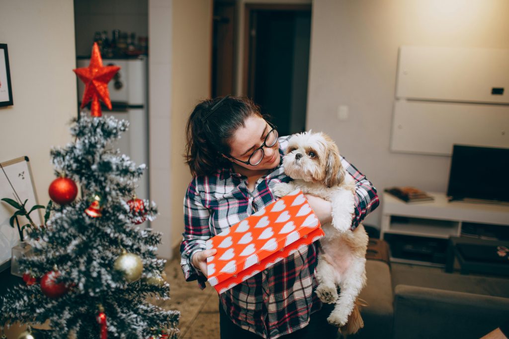 Evitați animalele oferite cadou-surpriză de Crăciun. foto pexels.com