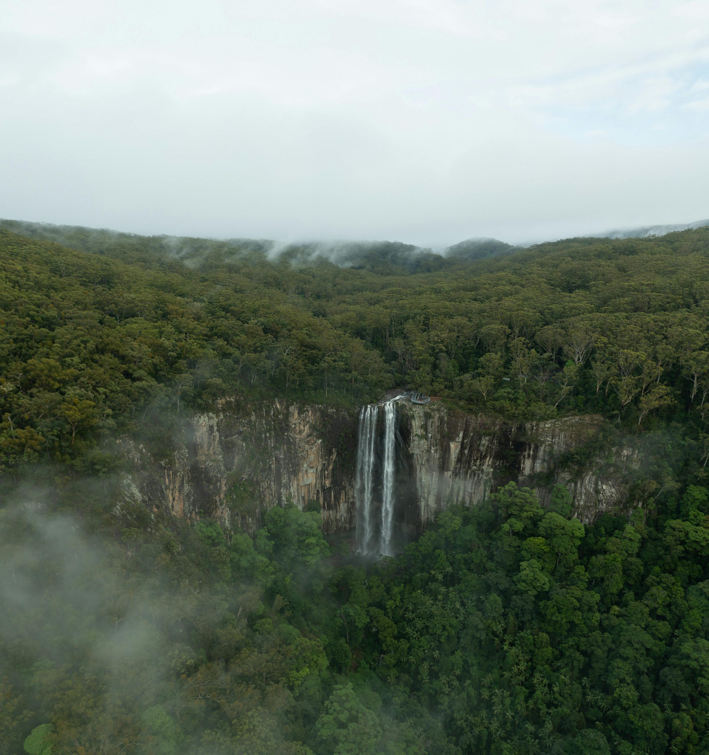 O parte a industriei forestiere încearcă deja să rebranduiască practici dăunătoare, precum răritul mecanic. foto: pexels.com