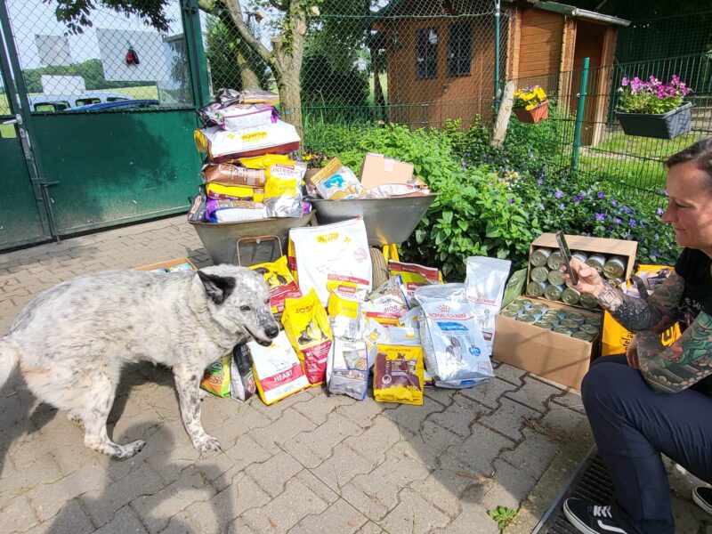Animalele primesc tiruri cu mâncare din Germania. foto: Facebook