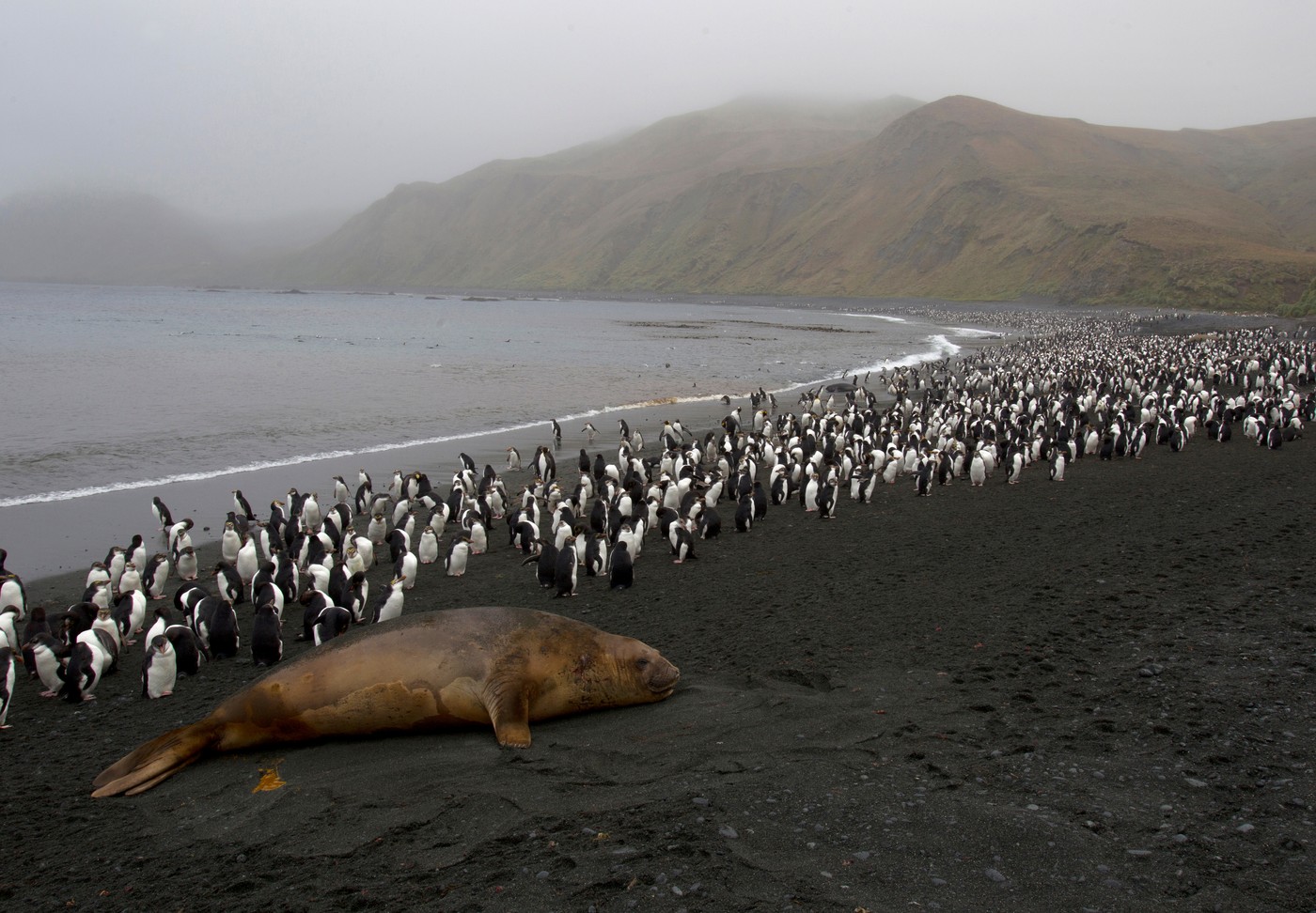 Furtunile din Oceanul de Sud produc tot mai multe ploi iar consecințele pot fi globale. foto Profimedia