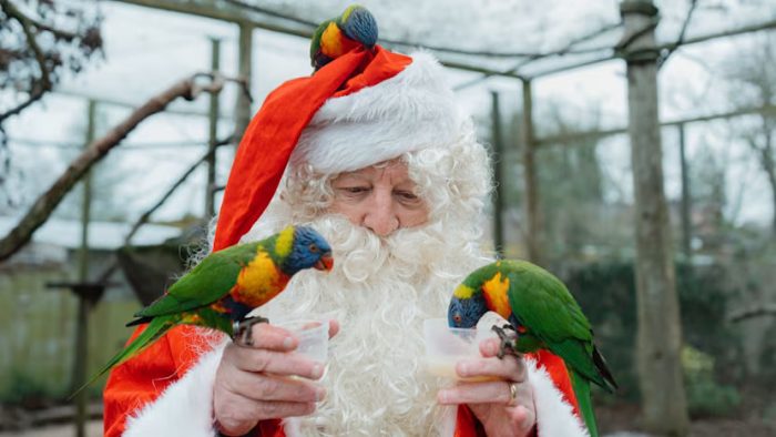 Moș Crăciun a vizitat animalele de la Longleat pentru a afla dacă au fost cuminți sau neastâmpărate