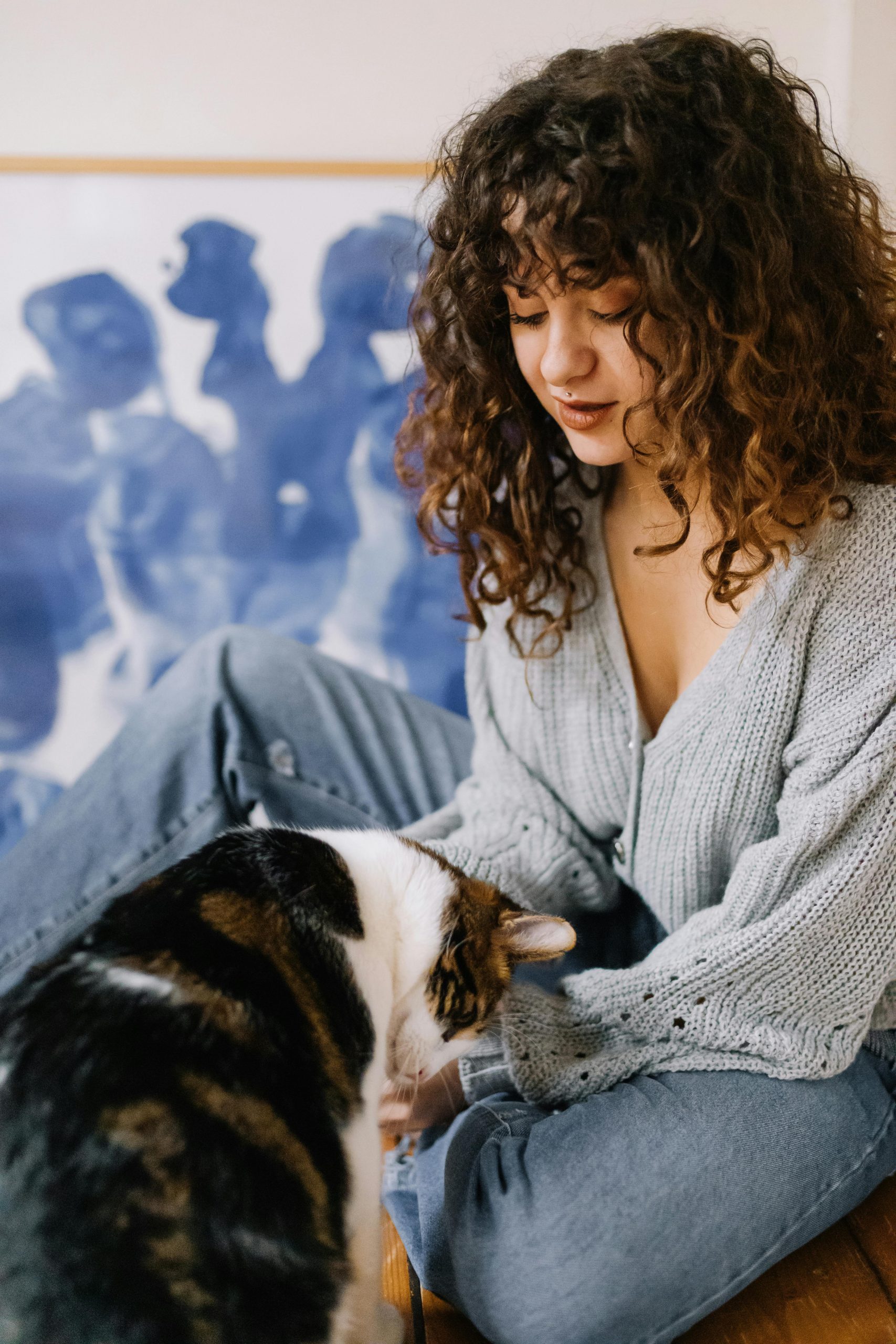 Persoanele care preferă pisicile în detrimentul câinilor tind să aibă anumite trăsături de personalitate distincte. foto: pexels.com