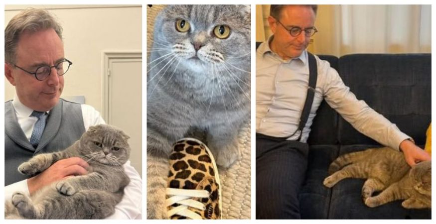 Premierul belgian Bart De Wever și motanul lui, Maximus. Felina e „vedetă” în mediul virtual