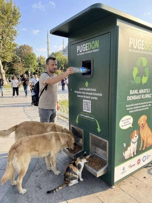 Turcia ajuta animalele strazii, contribuind si la reciclare. Sursa foto: Pugedon.com Facebook Page
