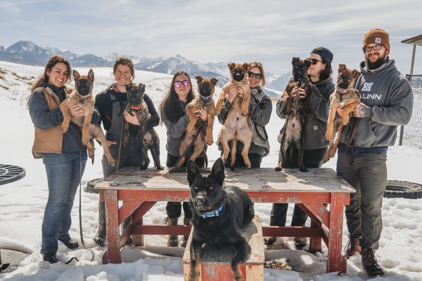 Un instructor livrează personal fiecare câine la noua lui casă și petrece aproximativ trei zile instruind familia cum să lucreze cu animalul. foto Facebook Svalinn