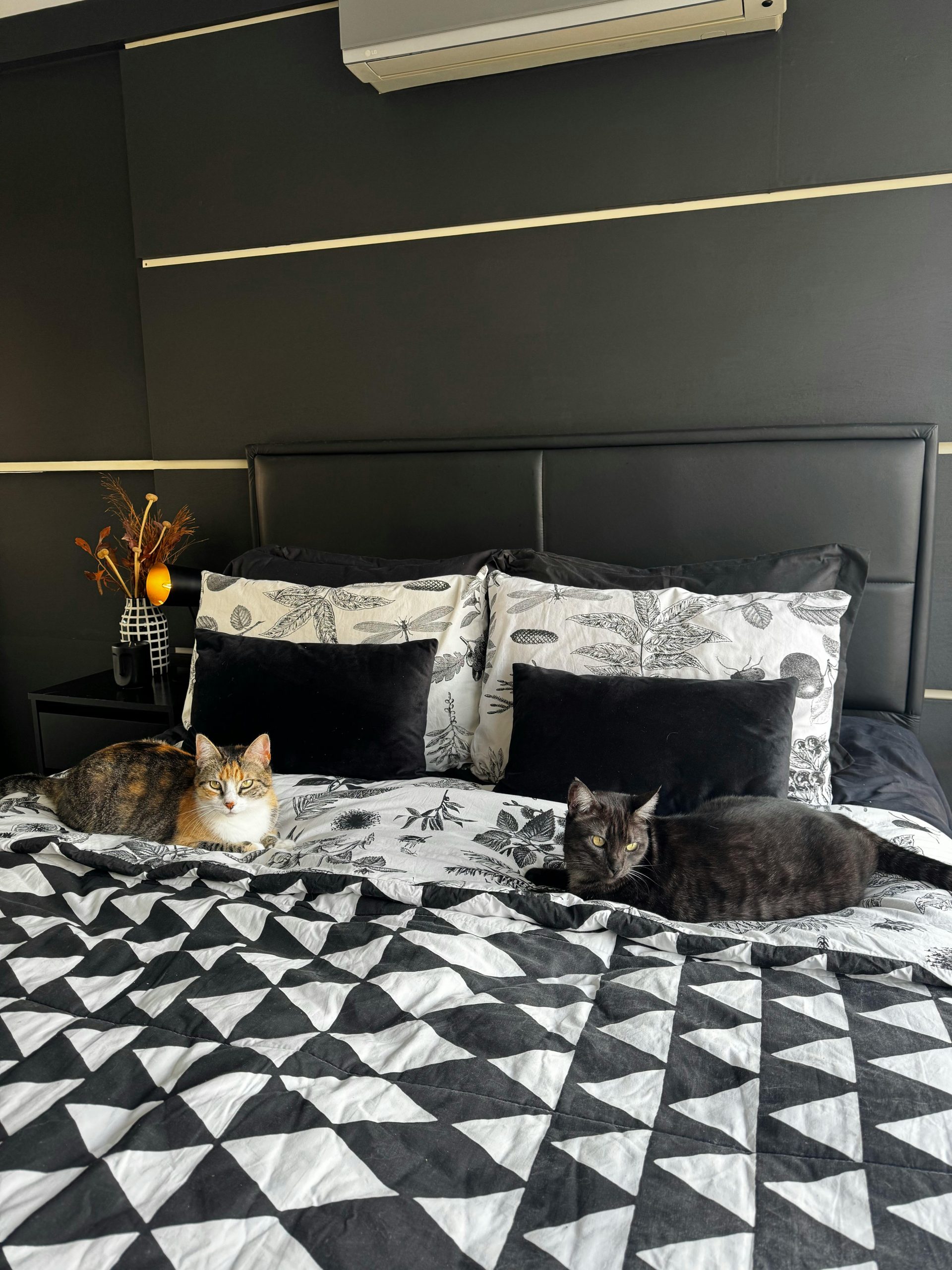 Pisicile dorm mult – adesea 12–16 ore pe zi – și tind să aleagă locuri în care se simt emoțional confortabil. foto: pexels.com