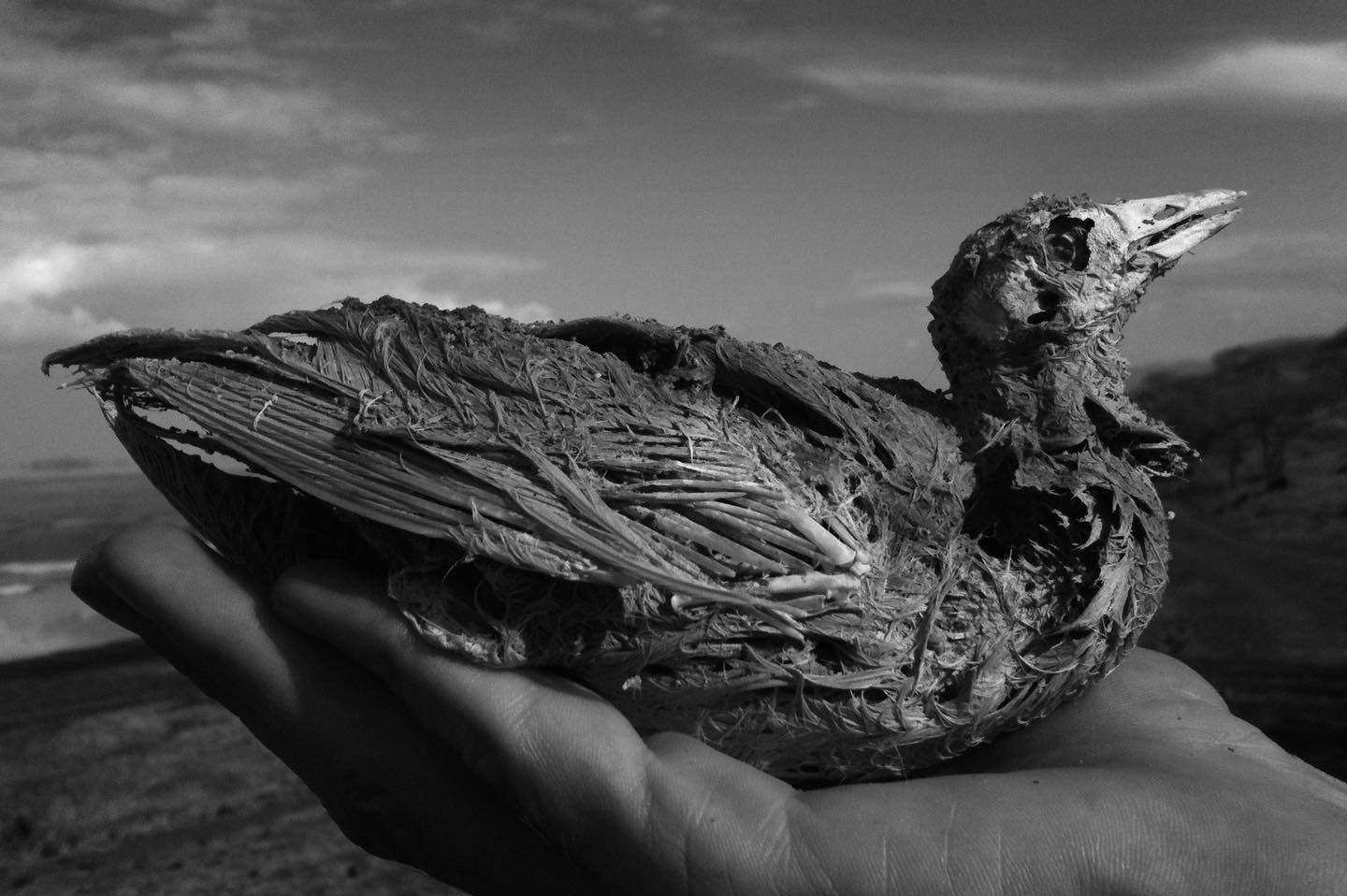 Cu o culoare roșie spectaculoasă, apa sa alcalină transformă tot ce atinge în ceva asemănător pietrei. foto Instagram