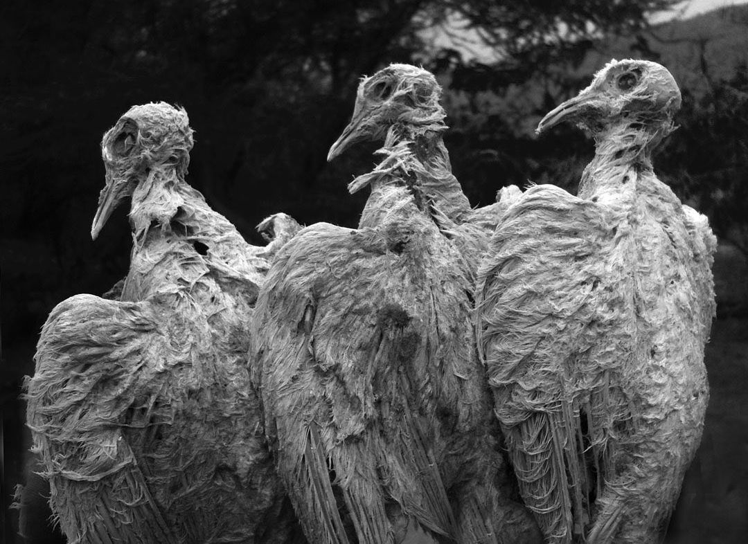 Lacul este rezultatul unor intense activități tectonice și vulcanice. foto Instagram