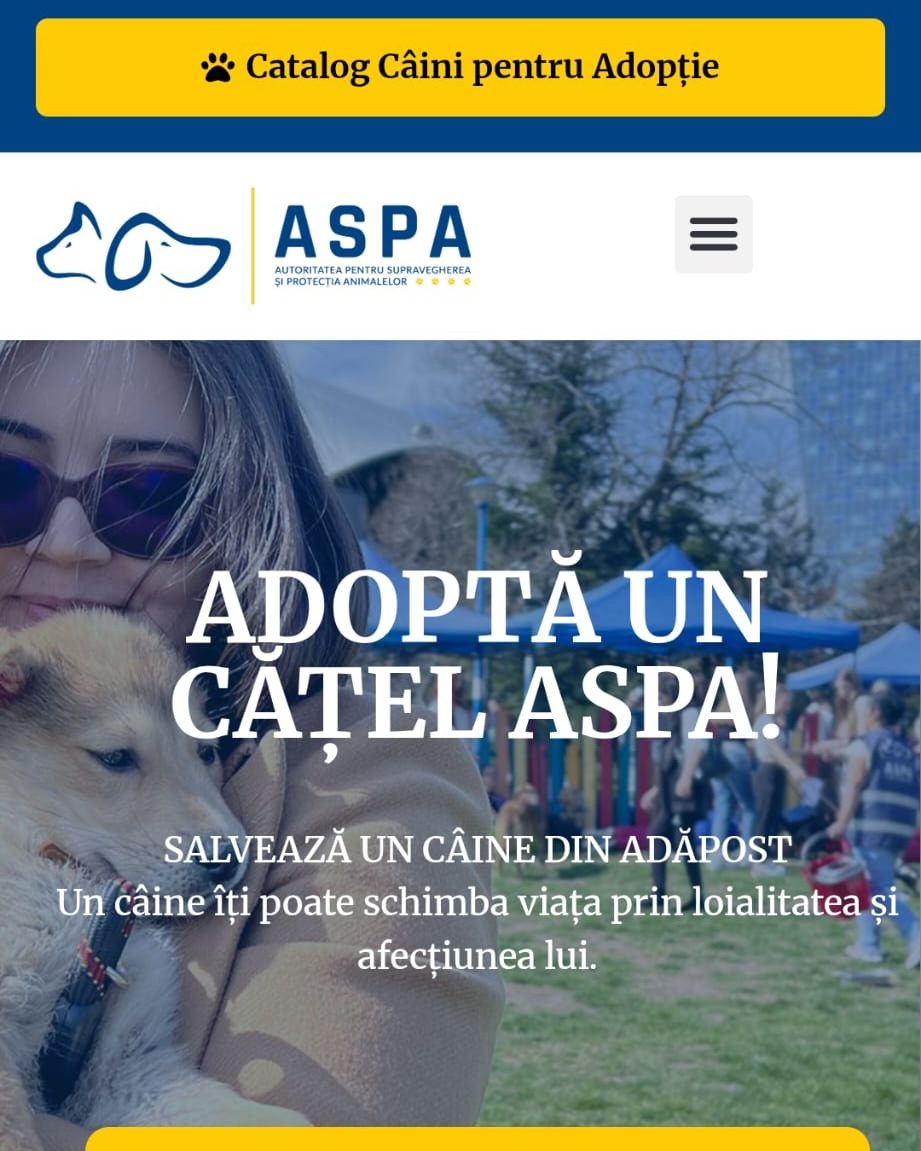 În 2025, peste 2.040 de câini din adăposturile Capitalei au fost adoptați. foto Facebook ASPA