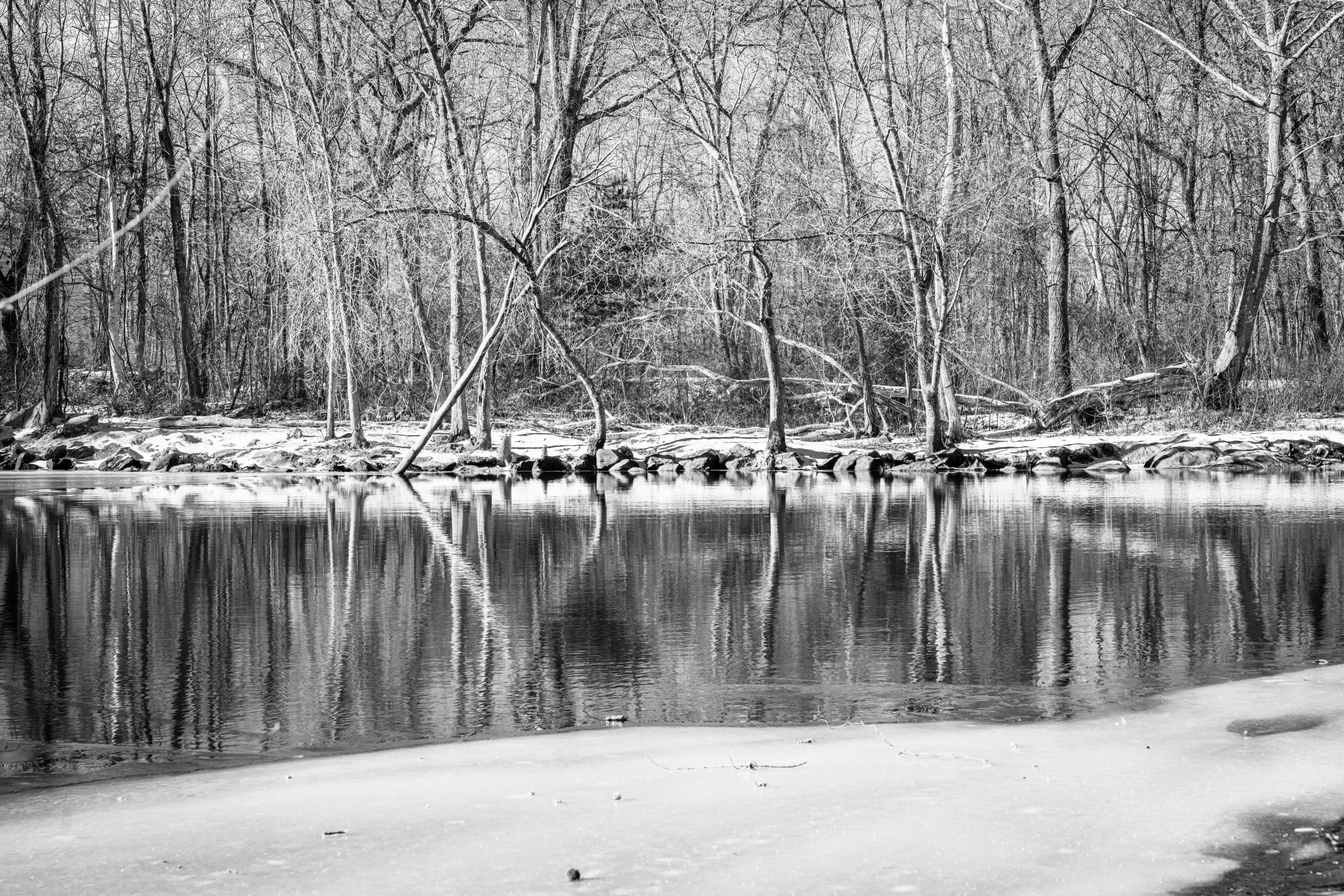 „Mercurul rezidual” este poluare rămasă în sol și sedimente în urma activităților miniere și agricole din trecut. foto: freepik.com