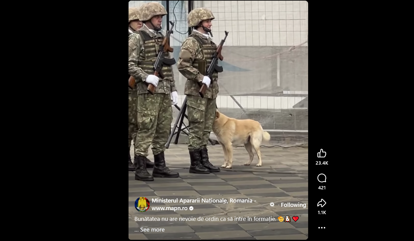 Screenshot, Pagina de Facebook a Ministerului Apărării Naționale, sursa principală menționată acolo fiind Marian Țolea.