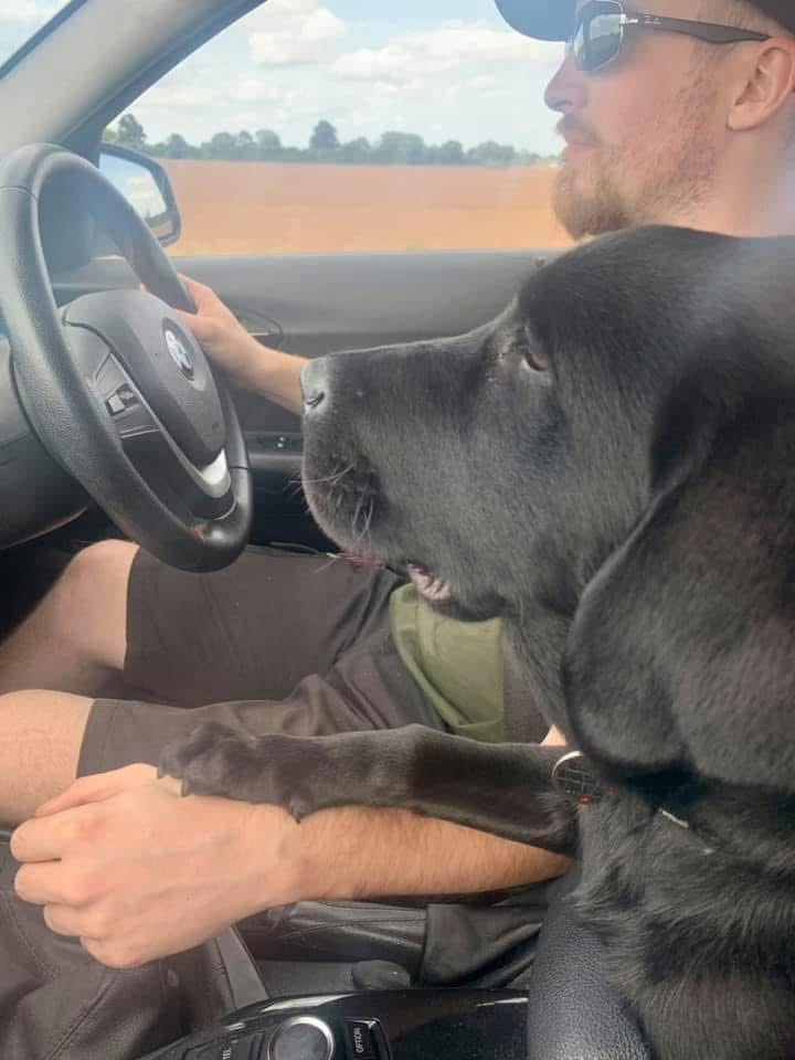 Cei doi dețin asigurare pentru animale, însă aceasta acoperă doar până la 10.000 de lire sterline pe an. sursa foto Go Fund Me