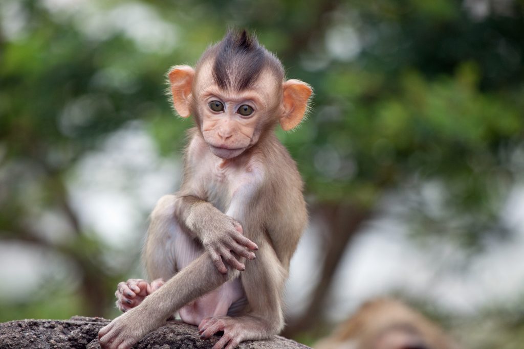 Plânsul are rolul de a atrage rapid atenția mamei. Foto: Freepik.com