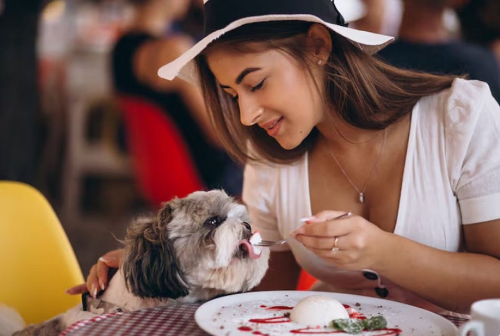 Localul din Italia care a creat un meniu special pentru animalele de companie! Ce conține?