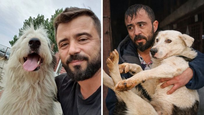 Medicul veterinar care a salvat 100 de câini din adăpostul de la Suraia. Intervenția decisivă într-un caz care a speriat România