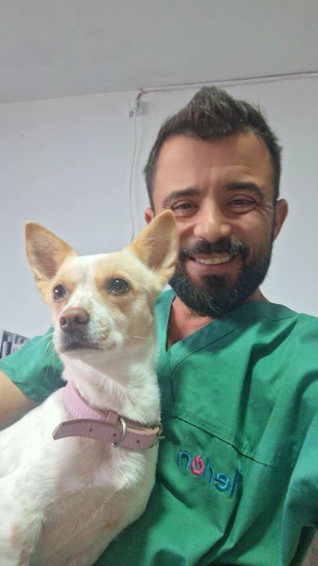 Mihai Grigorie este medicul veterinar implicat direct în acțiunea de evacuare a câinilor. foto: Facebook