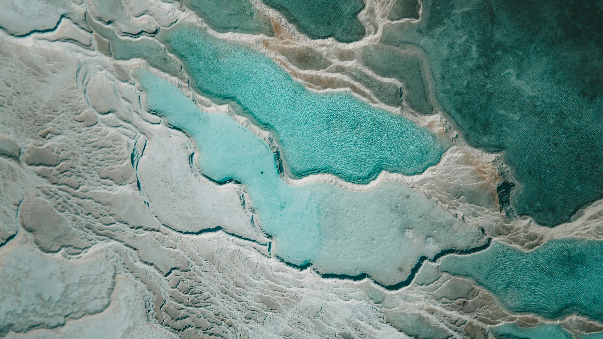 Asta ar putea declanșa un scenariu „Hothouse Earth” și ar face Pământul mult mai greu de locuit. foto: pexels.com