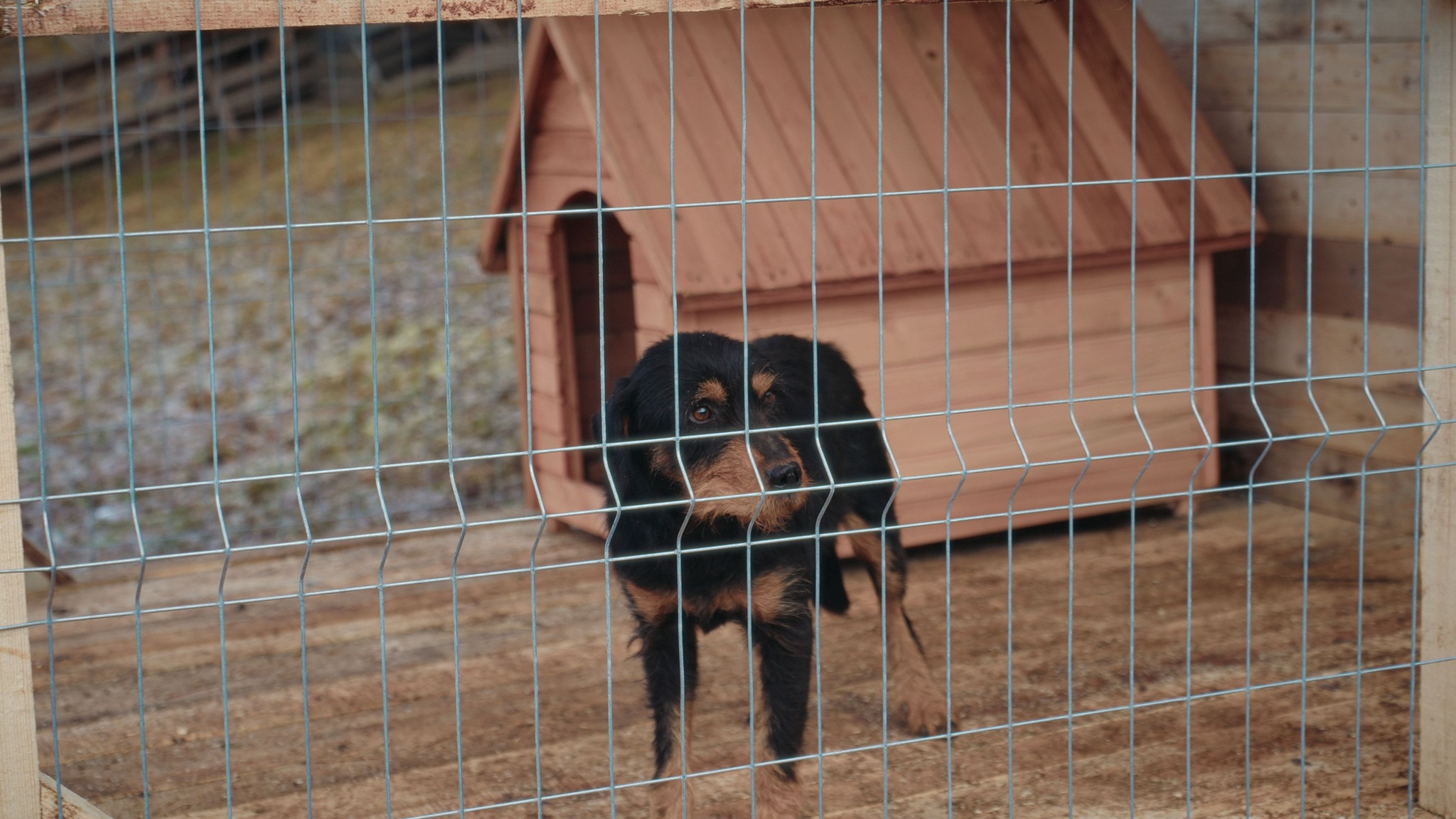 Echipa proiectului a lucrat împreună cu autoritățile locale și cu locuitorii satului. foto: Facebook
