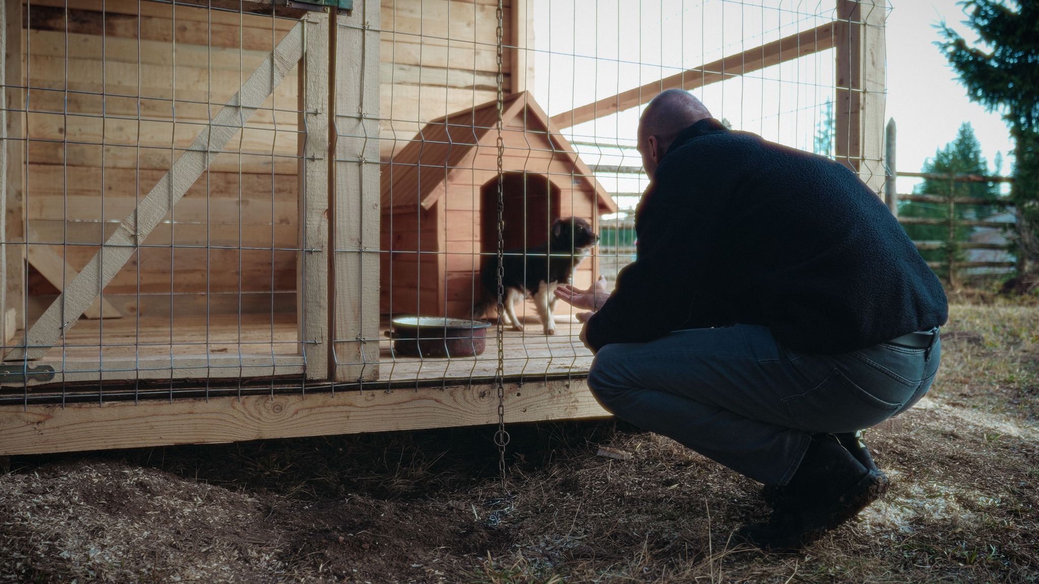 Primul sat din România fără câini în lanțuri. Proiectul inițiat de Ștefan Mandachi a schimbat complet viața animalelor dintr-o comunitate rurală